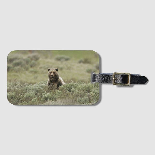 Etiqueta Para Maletas Detalles de Grizzly (Anverso horizontal)