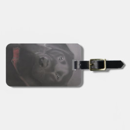 Etiqueta Para Maletas Dibujo Labrador Recuperador