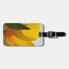 Etiqueta Para Maletas Disquete relleno de luz