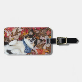 Etiqueta Para Maletas Divertido, lindo, mirada del Corgi