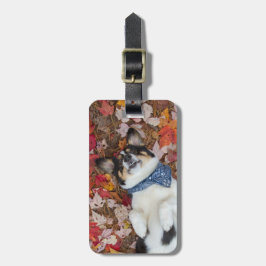 Etiqueta Para Maletas Divertido, lindo, mirada del Corgi