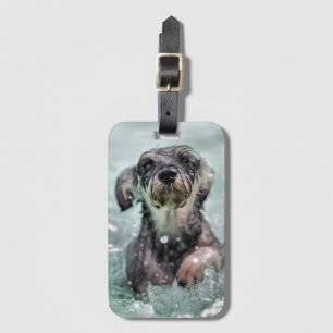 Etiqueta Para Maletas Doggy Paddle Cute Perro Natación