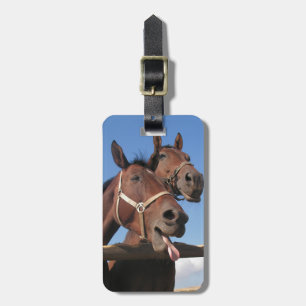 Etiqueta Para Maletas Dos Caballos de la Bahía, el caballo saca la lengu