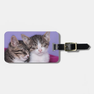 Etiqueta Para Maletas Dos gatitos lindos Napping