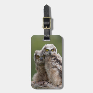 Etiqueta Para Maletas Dos grandes búhos de cuernos del bebé