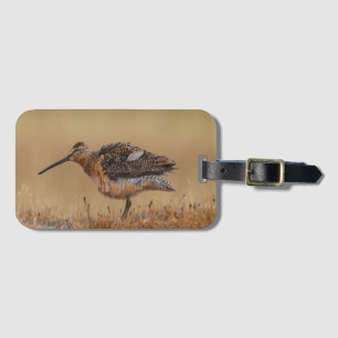 Etiqueta Para Maletas Dowitcher de factura larga