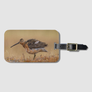 Etiqueta Para Maletas Dowitcher de factura larga