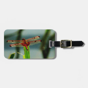 Etiqueta Para Maletas Dragonfly rojo y negro visto