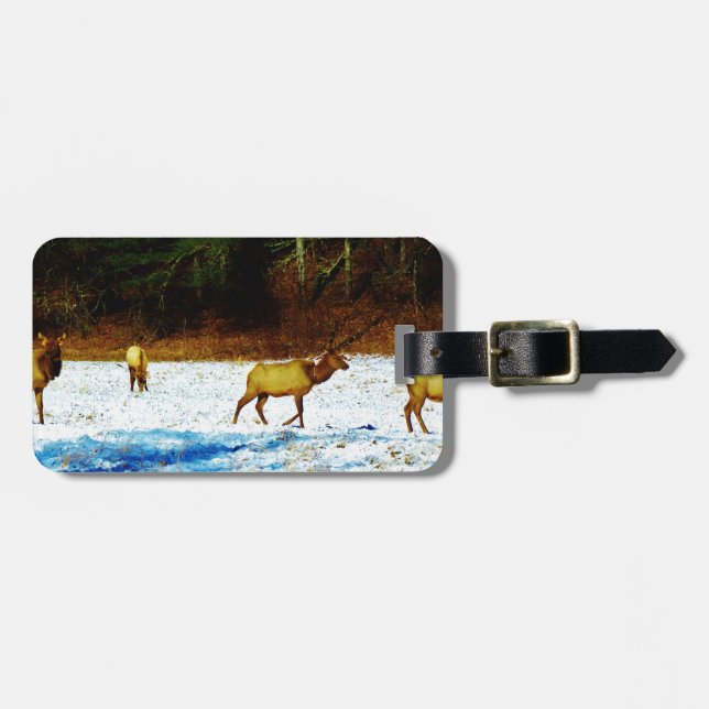 ETIQUETA PARA MALETAS DSC00131.JPG (Frente Horizontal)