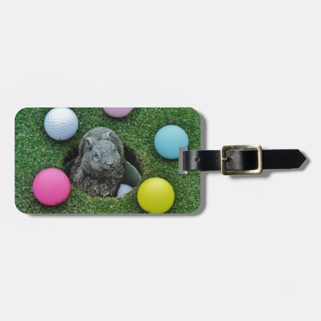 ETIQUETA PARA MALETAS DSCF0698.JPG (Frente Horizontal)