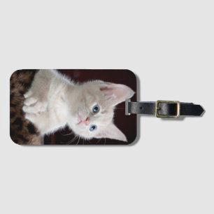 Etiqueta Para Maletas Dulce gatito