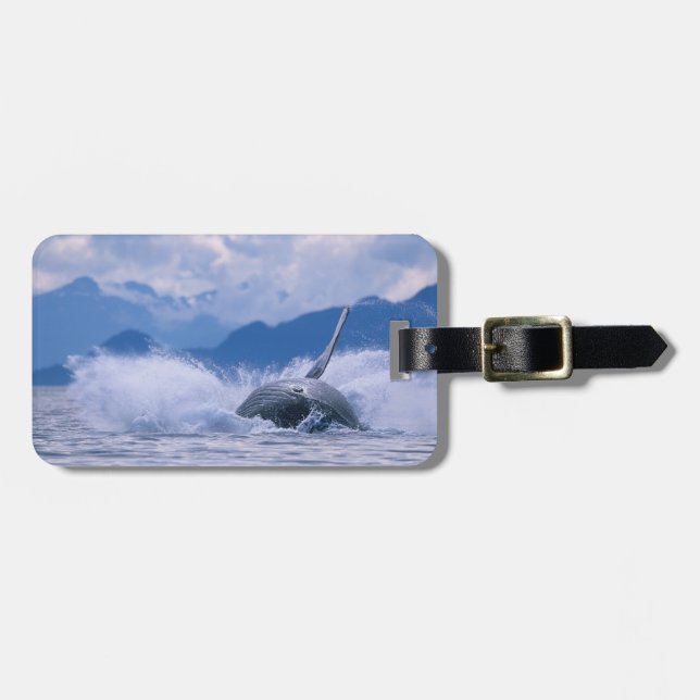 Etiqueta Para Maletas EE.UU., Alaska, Bosque Nacional Tongass, Humpback (Frente Horizontal)