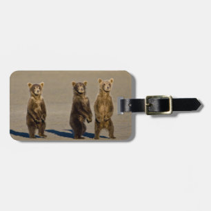 Etiqueta Para Maletas EE. UU. Alaska. Crías de oso pardo costero