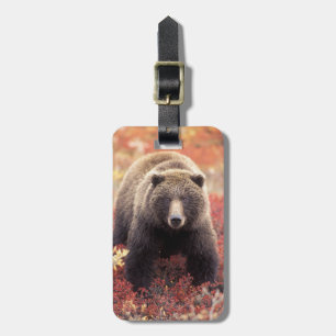 Etiqueta Para Maletas EE. UU., Alaska, Parque Nacional Denali, osa grizz