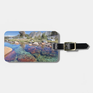 Etiqueta Para Maletas EE. UU., California, Bosque Nacional Inyo 4