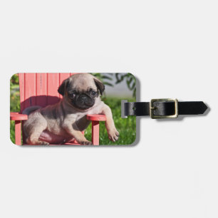 Etiqueta Para Maletas EE. UU., California. Cachorro de pug encorvado