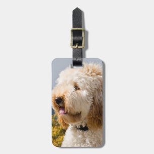 Etiqueta Para Maletas EE. UU., California. Retrato de Labradoodle 3