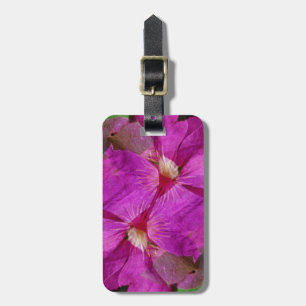 Etiqueta Para Maletas EE.UU., Colorado, Boulder. Montaje floral clematis