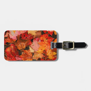 Etiqueta Para Maletas EE. UU., Maine. Hojas de arce de otoño