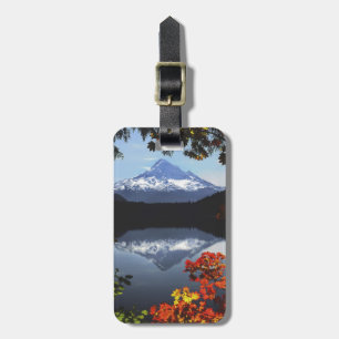 Etiqueta Para Maletas EE. UU., Oregón, Bosque Nacional Mt. Hood.