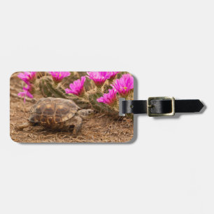 Etiqueta Para Maletas EE. UU., Texas, condado de Hidalgo. Tortuga