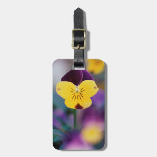Etiqueta Para Maletas EE. UU., Utah, Primer plano de Viola tricolor en j