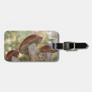 Etiqueta Para Maletas EE.UU., Washington, Seabeck. Leccinum Insigne