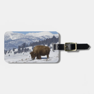Etiqueta Para Maletas EE. UU., WY, Parque Nacional Yellowstone, Bisonte