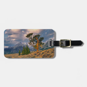 Etiqueta Para Maletas EE. UU., Wyoming, Parque Nacional Grand Teton. El