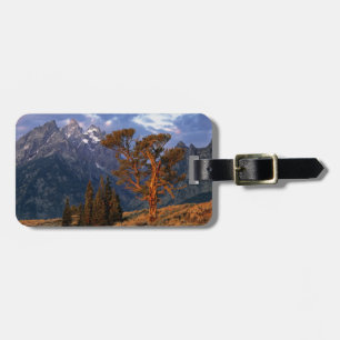 Etiqueta Para Maletas EE. UU., Wyoming, Parque Nacional Grand Teton. Un