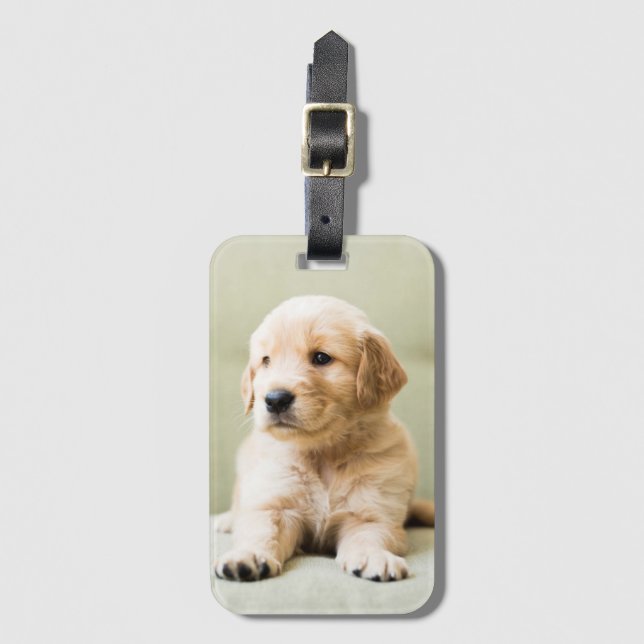 Etiqueta Para Maletas El colchón de la colección Golden Retriever (Anverso vertical)