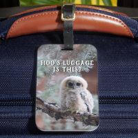 ¿El equipaje de Hoo? Lechuza mexicana