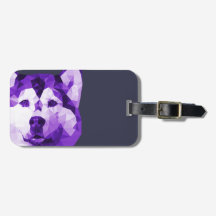 El Husky Siberiano baja polaca en morado