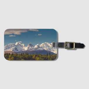 Etiqueta Para Maletas El monte McKinley el   Alaska