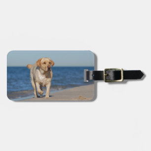 Etiqueta Para Maletas El nuevo labrador amarillo en la playa