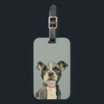 Etiqueta Para Maletas El perro del pitbull con el perrito observa la<br><div class="desc">Ésta es una pintura de la acuarela de un perrito blanco y negro del pitbull. Es un cierre para arriba del perro con los ojos de mirada esperanzados grandes.</div>