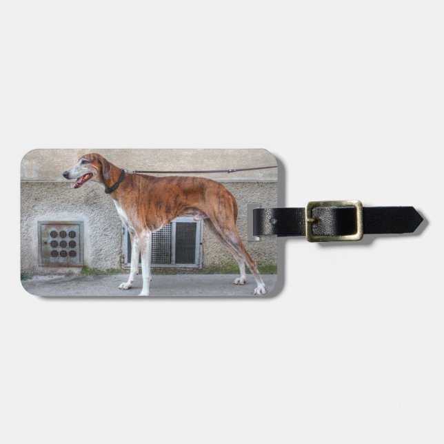 Etiqueta Para Maletas Elder Brindle Greyhound (Frente Horizontal)