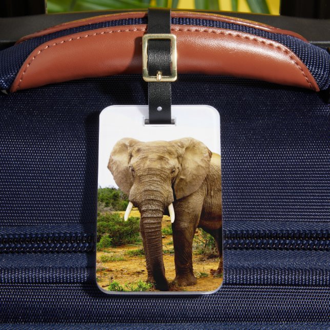 Etiqueta Para Maletas Elefante Bull Africano (Anverso In situ 2)