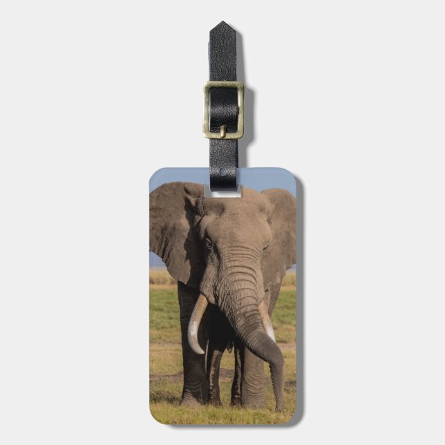 Etiqueta Para Maletas Elefante Buscando (Frente Vertical)