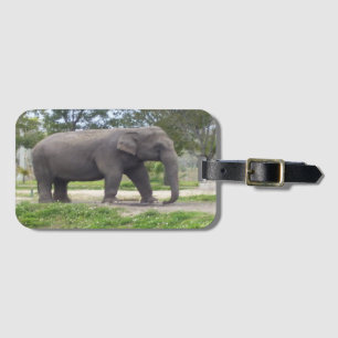 Etiqueta Para Maletas Elefante en prado tranquilo