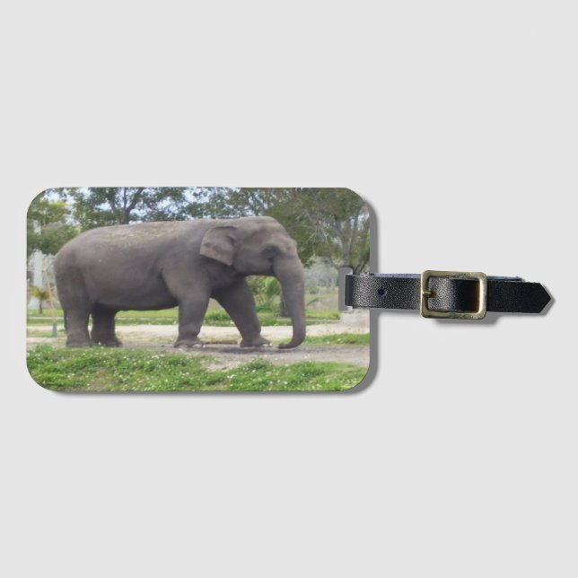 Etiqueta Para Maletas Elefante en prado tranquilo (Anverso horizontal)