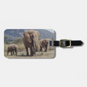 Etiqueta Para Maletas Elefante madre caminando con cría de elefante