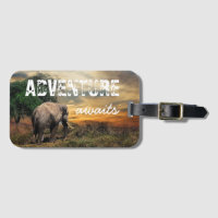 Elefante tailandés "La aventura espera"