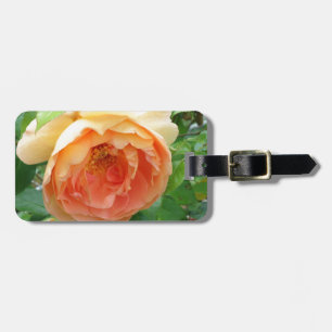 Etiqueta Para Maletas Elegante Naranja Rosa Rubor