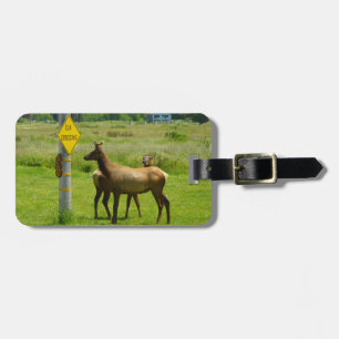 Etiqueta Para Maletas Elk Crossing California Wildlife Photography