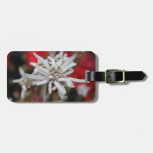 Etiqueta Para Maletas Encantador Edelweiss Leontopodium nivale
