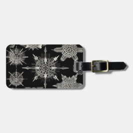 Etiqueta Para Maletas Ernst Haeckel el | Acanthophracta