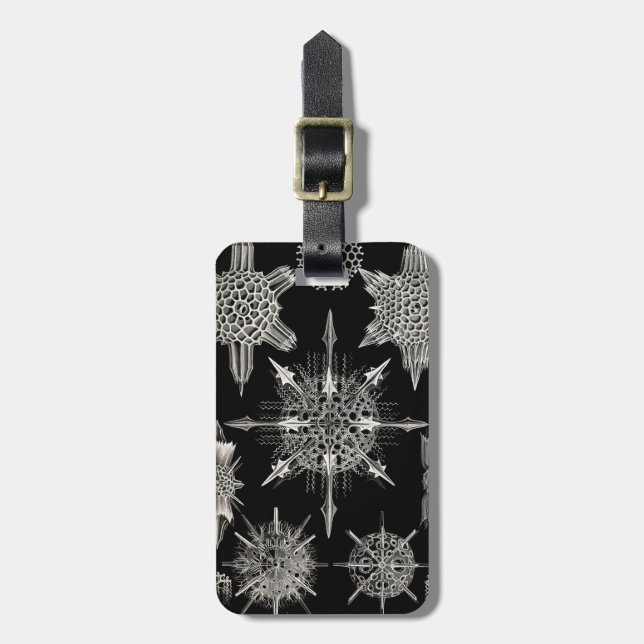 Etiqueta Para Maletas Ernst Haeckel el | Acanthophracta (Frente Vertical)