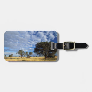 Etiqueta Para Maletas Escena del desierto de Kalahari, Kgalagadi Transfr