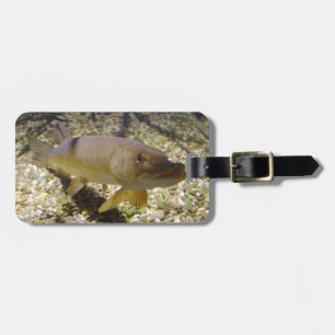 Etiqueta Para Maletas Esox lucius